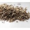 印度孜然廠家/進口孜然價格 Cumin